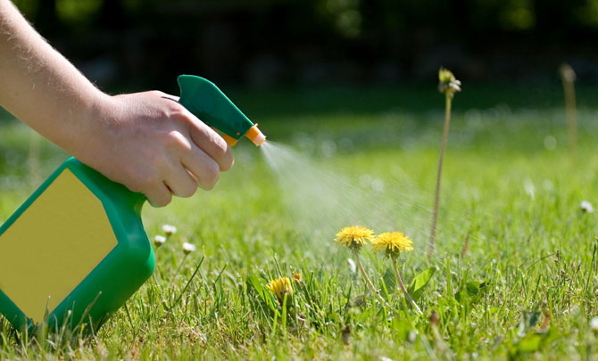 grounds maintenance services